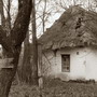 На Кіровоградщині припинило існування село з населенням у дві особи